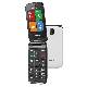 BRONDI STRIKE 4G (GRIGIO) - TELEFONO CELLULARE - TORCIA - FOTOCAMERA - VOLTE - CONNETTIVITA 4G