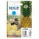 EPSON 604XL CIANO (C13T10H24020) - CARTUCCIA ORIGINALE AD ALTA EFFICIENZA
