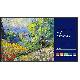 BENQ SL6504 - MONITOR 65"" 4K - GRAFICA PRO - SPEAKER IN