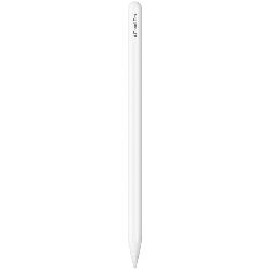APPLE PENCIL PRO (MX2D3ZM/A)