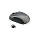 EQUIP 245109 - MOUSE WIRELESS - DPI SWITCH (800/1200/1600)