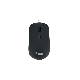 EQUIP 245114 - MOUSE WIRED USB - 4 PULSANTI - DPI SWITCH (800/1200/1600)