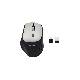 EQUIP 245115 - MOUSE WIRELESS - DPI SWITCH (800/1200/1600) - DUAL CONTROL