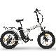 SHARP BK-FM03-ES - BICICLETTA ELETTRICA PIEGHEVOLE FAT E-BIKE (SILVER) - RUOTE 20""X4"" - MOTORE 250W - BATTERIA 48V 13AH - TELAIO ACCIAIO - 6 MARCE