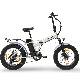 SHARP BK-FM01-ES - BICICLETTA ELETTRICA PIEGHEVOLE FAT E-BIKE (SILVER) - RUOTE 20""X4"" - MOTORE 250W - BATTERIA 36V 10AH - TELAIO ACCIAIO - 6 MARCE