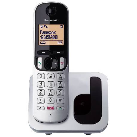 PANASONIC KX-TGC250JTS SILVER - TELEFONO CORDLESS SINGOLO - VIVAVOCE