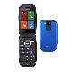 BRONDI RAPTOR (BLU) - TELEFONO CELLULARE - TORCIA