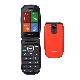 BRONDI RAPTOR (ARANCIO) - TELEFONO CELLULARE - TORCIA